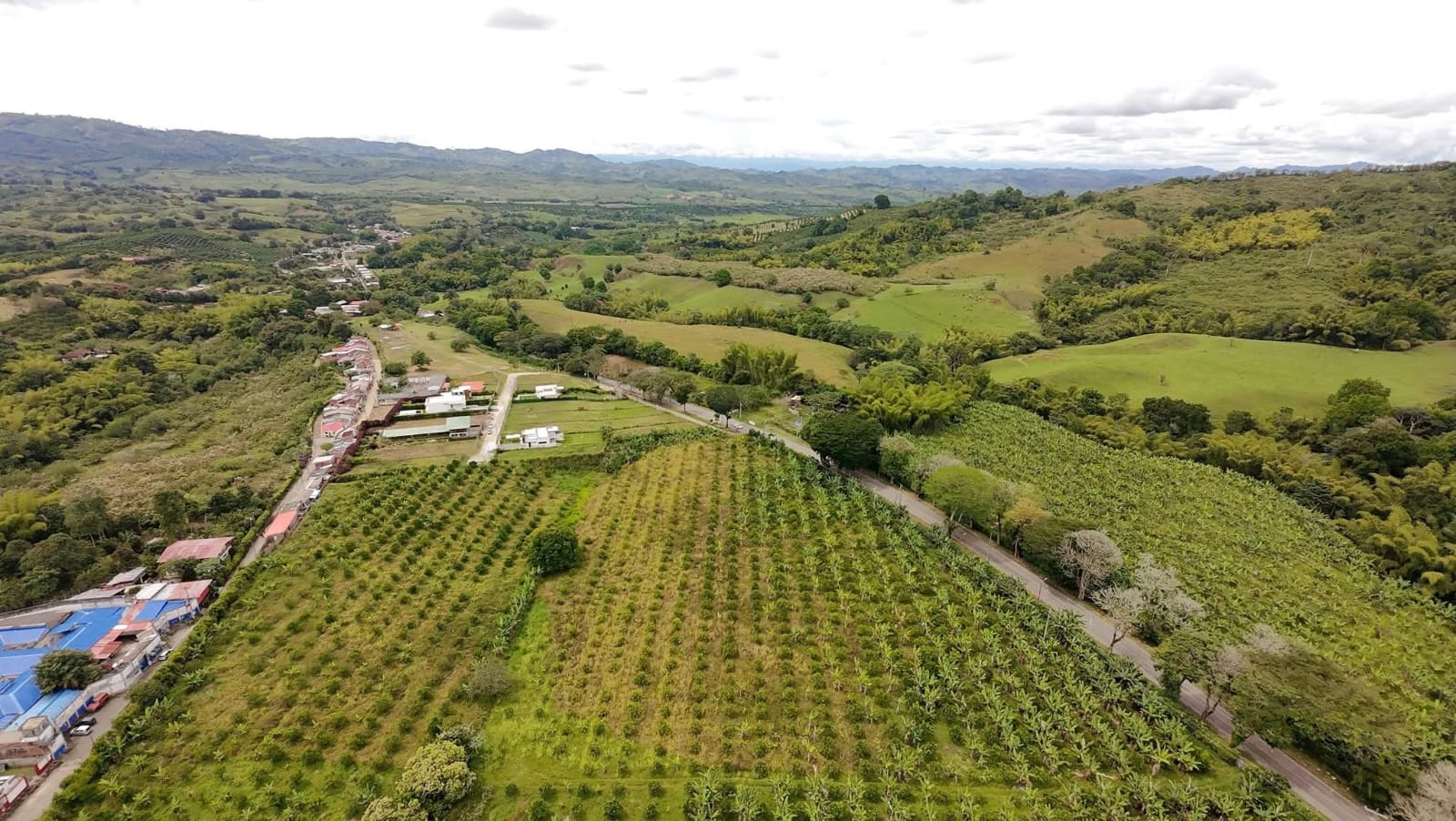 La Floresta  Barrio en Caícedonia Valle