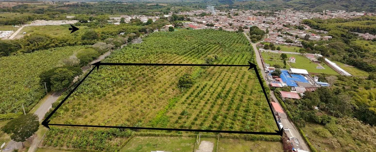 La Floresta  Barrio en Caícedonia Valle