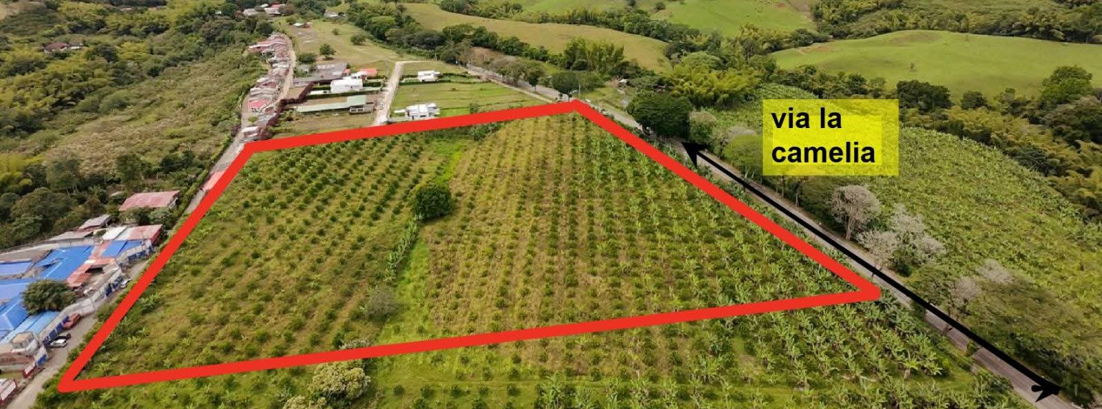 La Floresta  Barrio en Caícedonia Valle