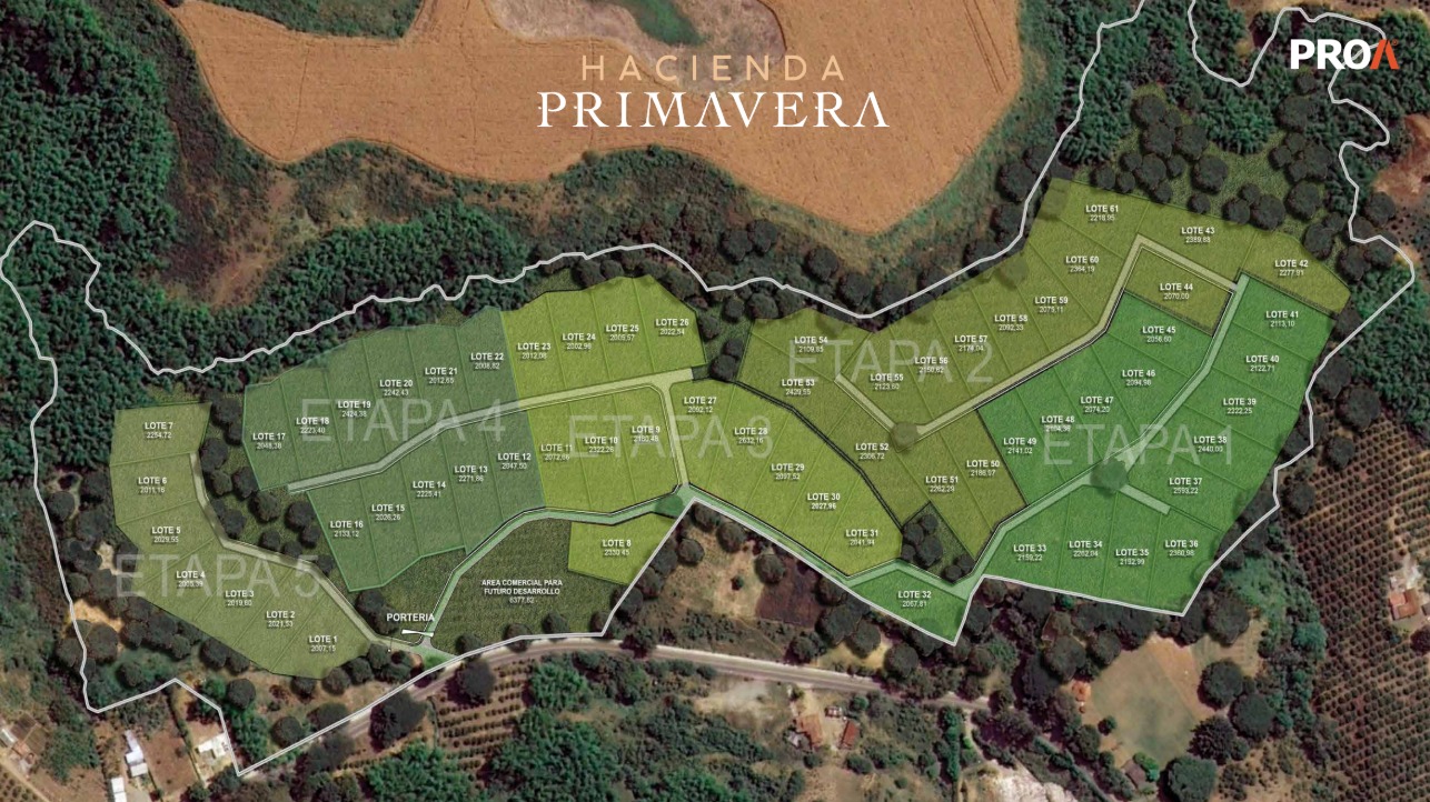 Primavera Campestre, casas de campo con entornos verdes.