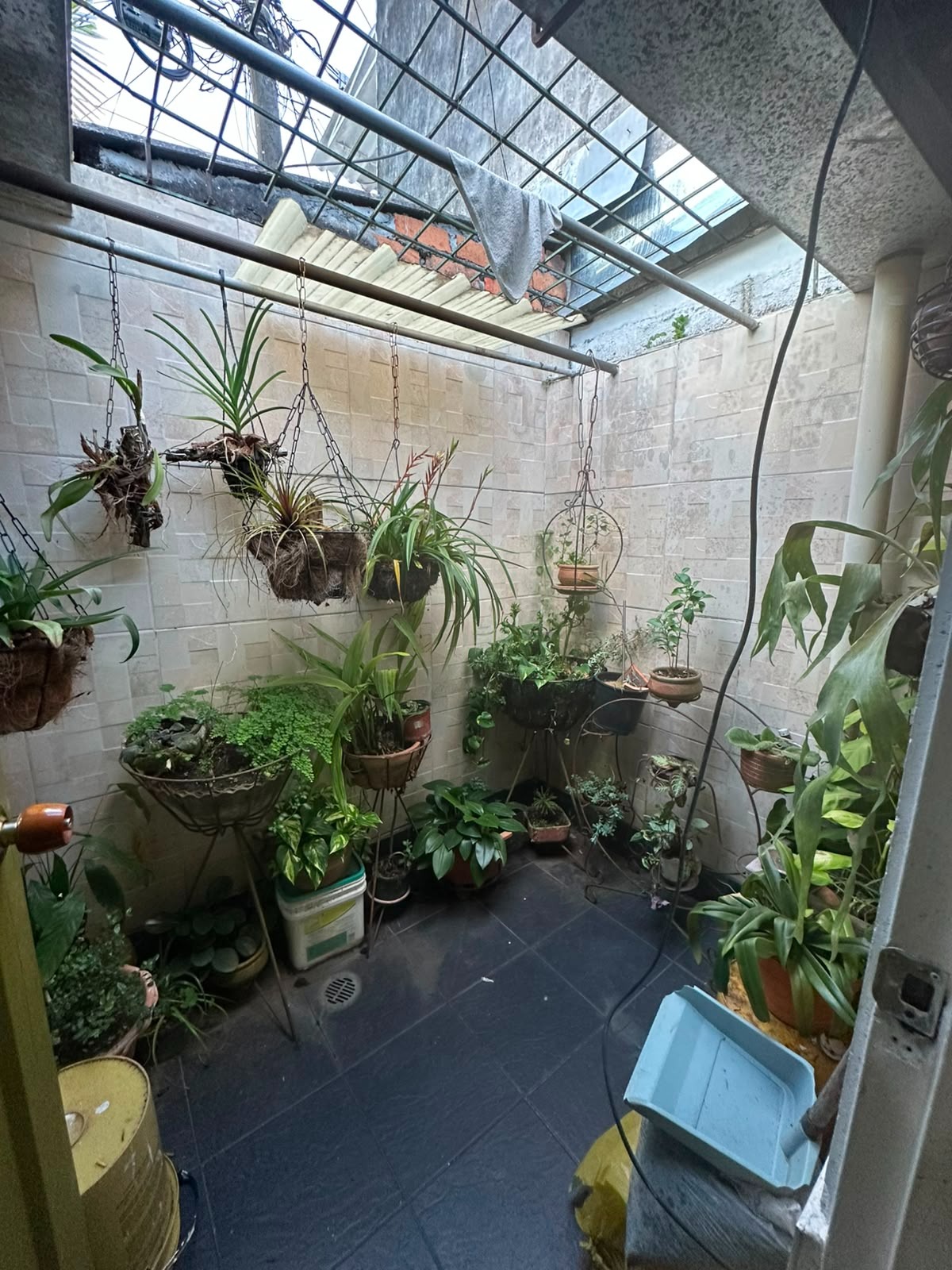 Casa Nuevo Horizonte, casa familiar
