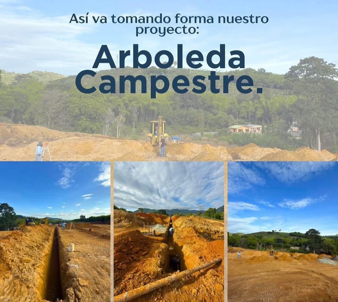 ARBOLEDA CAMPESTRE